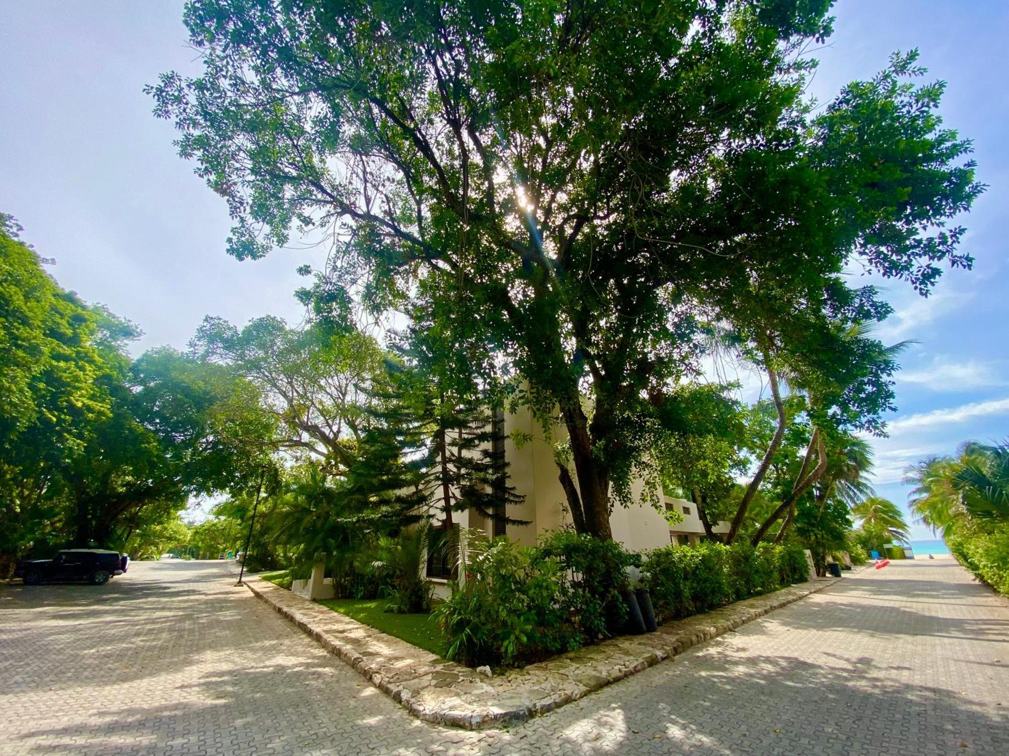 Villa Almendra Playacar 1 Playa del Carmen Exteriör bild